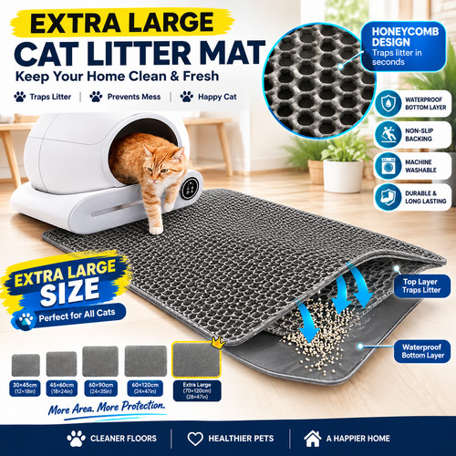 Extra large cat - large,